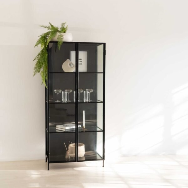 STUDIO DELTA - CLEAR GLASS DISPLAY CABINET